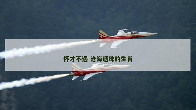 怀才不遇 沧海遗珠的生肖