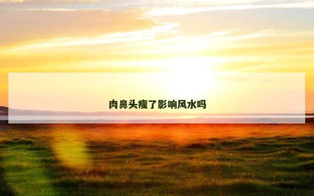 肉鼻头瘦了影响风水吗