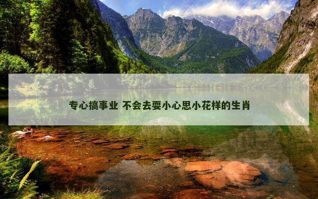 专心搞事业 不会去耍小心思小花样的生肖