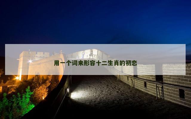 用一个词来形容十二生肖的初恋