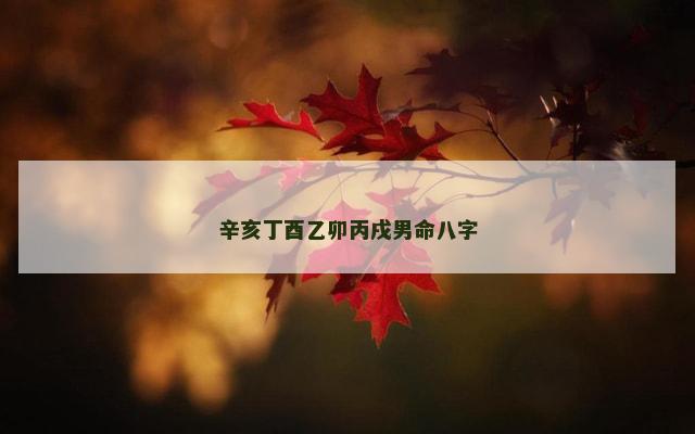 辛亥丁酉乙卯丙戌男命八字