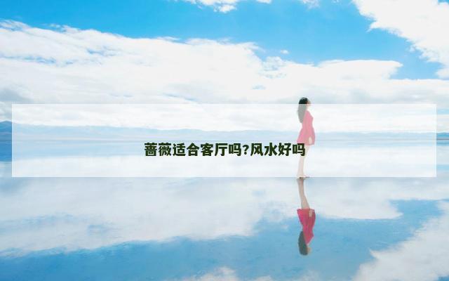 蔷薇适合客厅吗?风水好吗