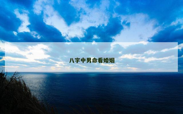 八字中男命看婚姻