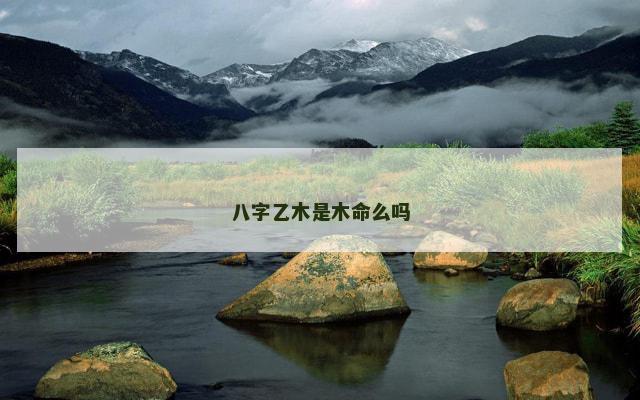 八字乙木是木命么吗