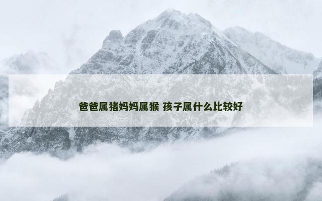 爸爸属猪妈妈属猴 孩子属什么比较好