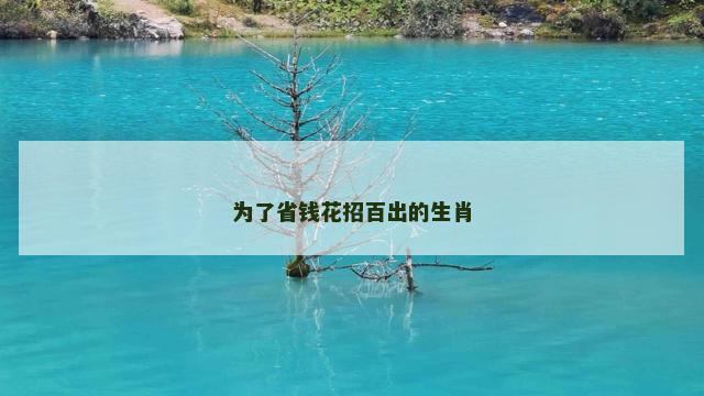 为了省钱花招百出的生肖