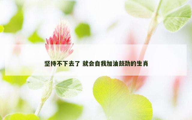 坚持不下去了 就会自我加油鼓劲的生肖