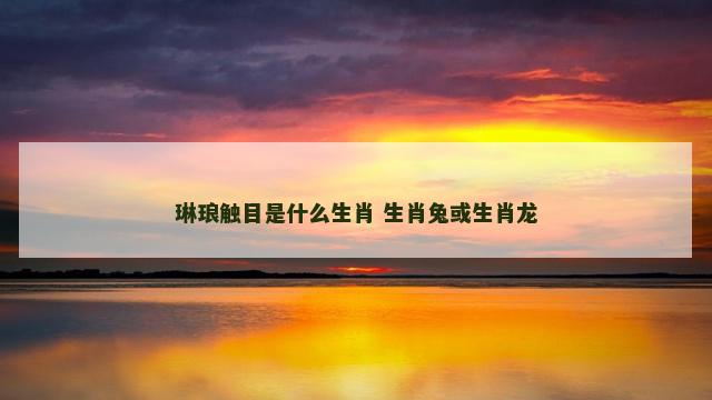 琳琅触目是什么生肖 生肖兔或生肖龙