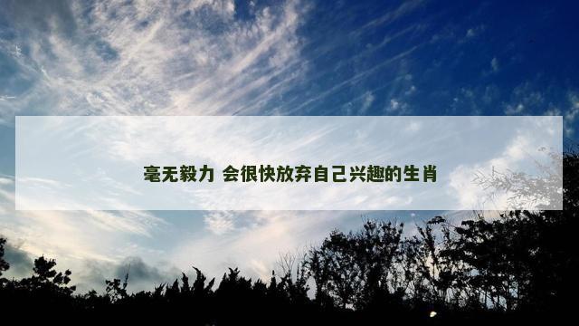 毫无毅力 会很快放弃自己兴趣的生肖