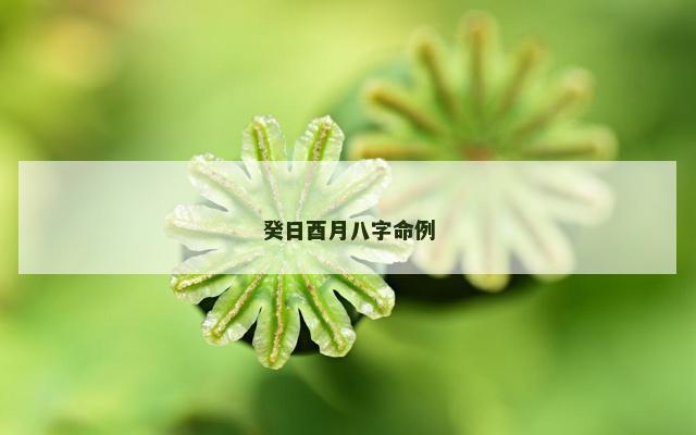 癸日酉月八字命例