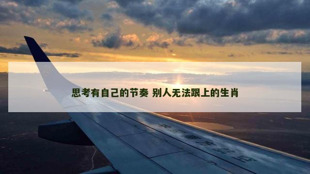 思考有自己的节奏 别人无法跟上的生肖