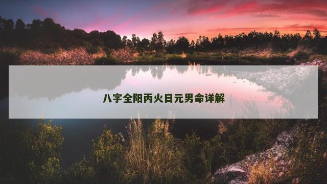 八字全阳丙火日元男命详解