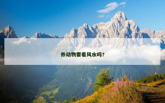 养动物要看风水吗?
