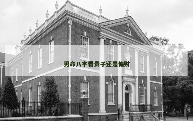男命八字看贵子还是偏财