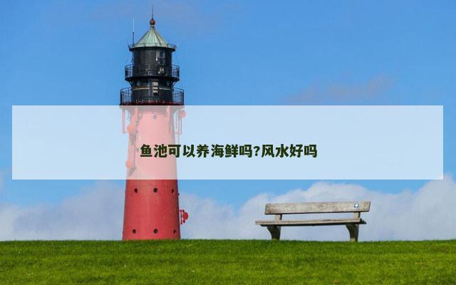 鱼池可以养海鲜吗?风水好吗