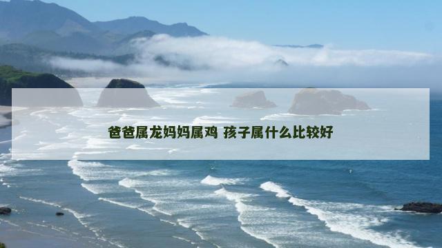 爸爸属龙妈妈属鸡 孩子属什么比较好