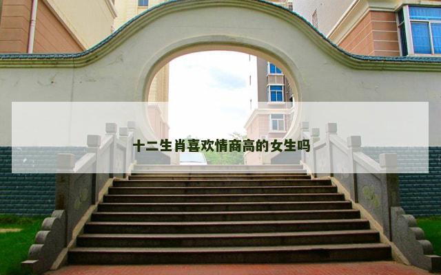 十二生肖喜欢情商高的女生吗