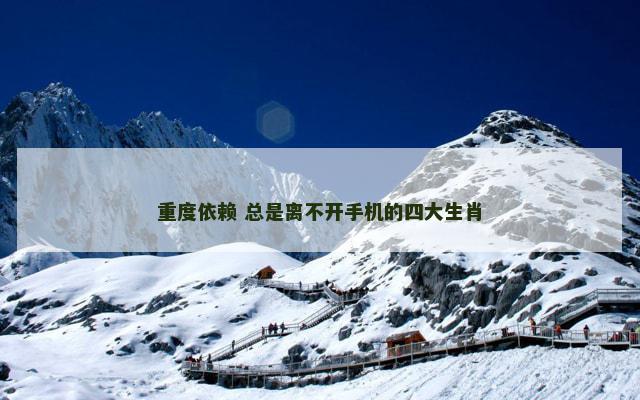 重度依赖 总是离不开手机的四大生肖