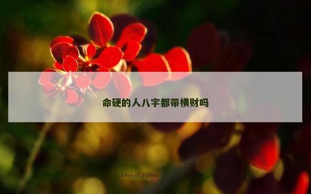 命硬的人八字都带横财吗