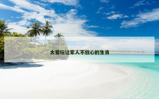 太爱玩让家人不放心的生肖