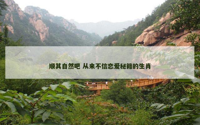 顺其自然吧 从来不信恋爱秘籍的生肖