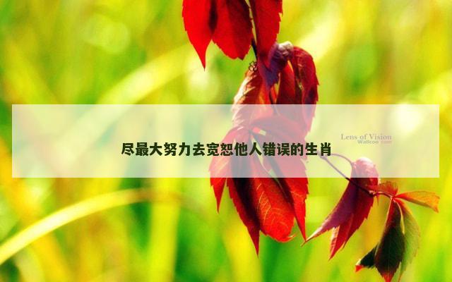 尽最大努力去宽恕他人错误的生肖