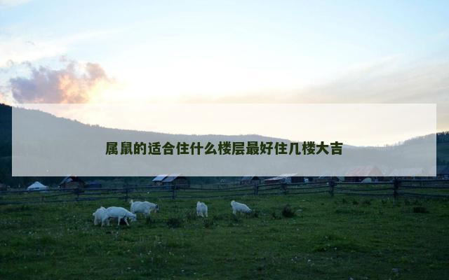 属鼠的适合住什么楼层最好住几楼大吉