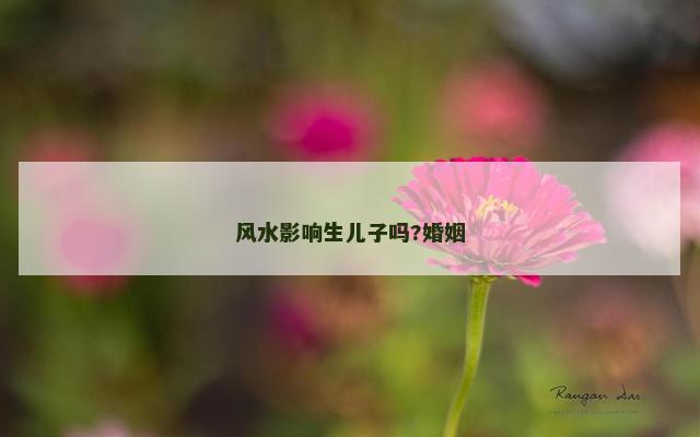 风水影响生儿子吗?婚姻