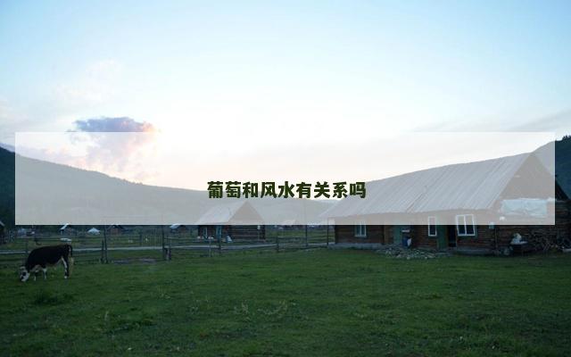 葡萄和风水有关系吗