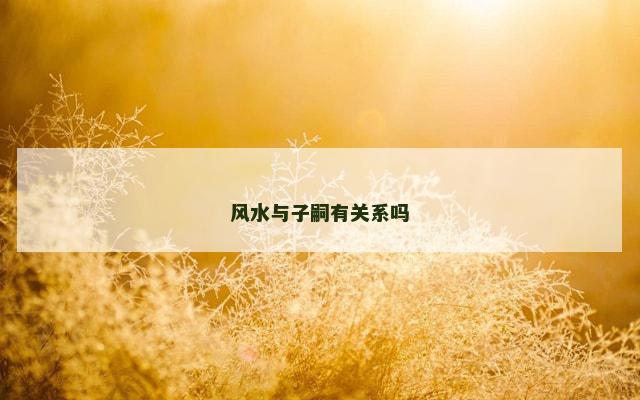 风水与子嗣有关系吗