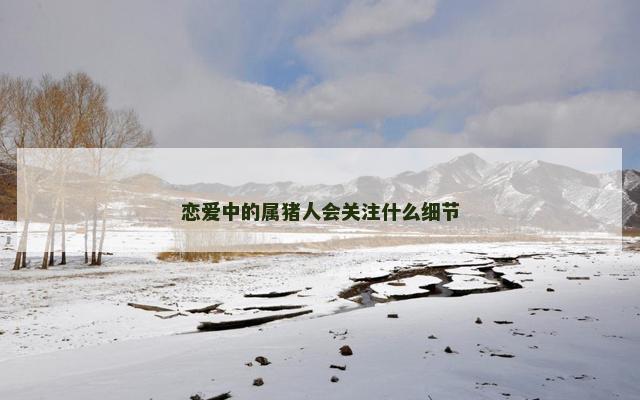 恋爱中的属猪人会关注什么细节