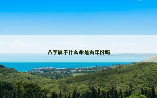 八字属于什么命是看年份吗
