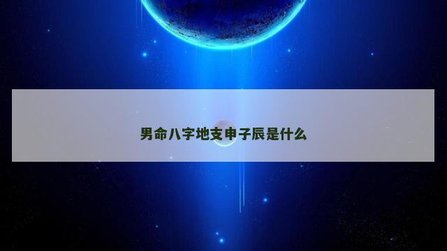 男命八字地支申子辰是什么
