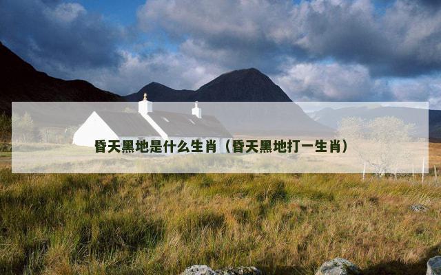 昏天黑地是什么生肖（昏天黑地打一生肖）