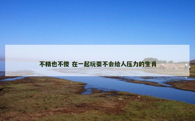 不精也不傻 在一起玩耍不会给人压力的生肖