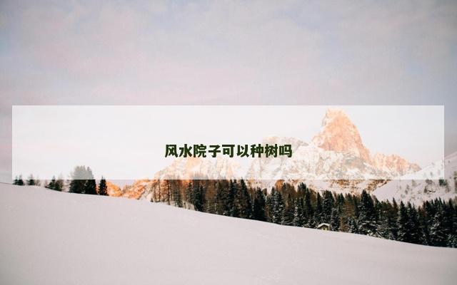 风水院子可以种树吗