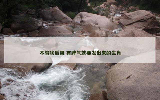 不管啥后果 有脾气就要发出来的生肖