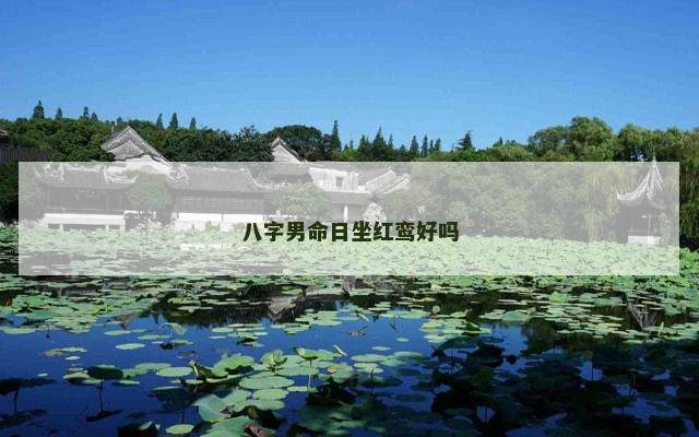 八字男命日坐红鸾好吗 八字男命日坐红鸾好吗