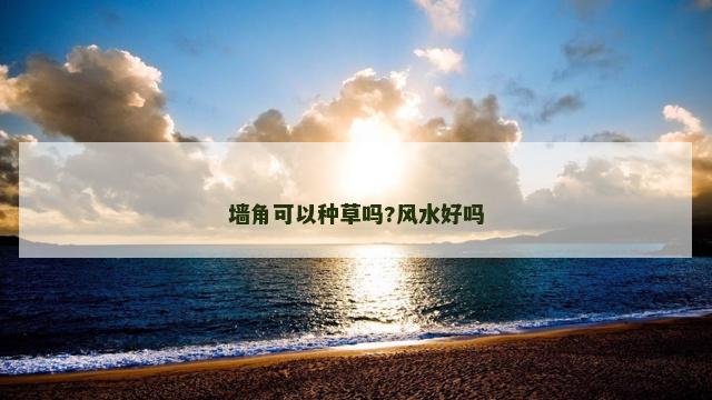 墙角可以种草吗?风水好吗