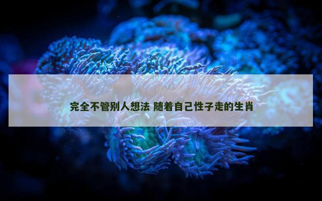 完全不管别人想法 随着自己性子走的生肖