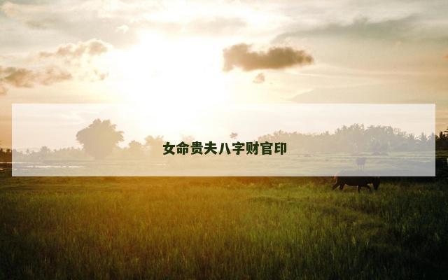 女命贵夫八字财官印