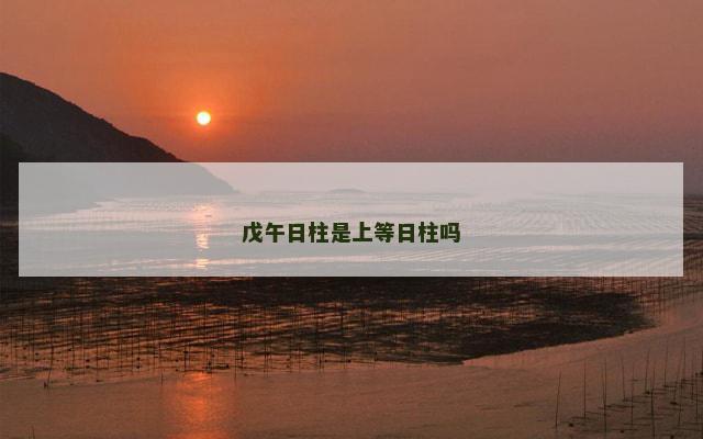 戊午日柱是上等日柱吗