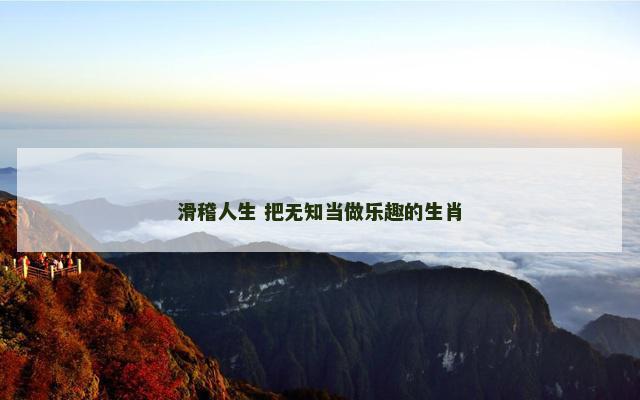滑稽人生 把无知当做乐趣的生肖