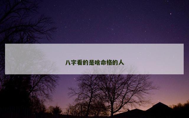 八字看的是啥命格的人