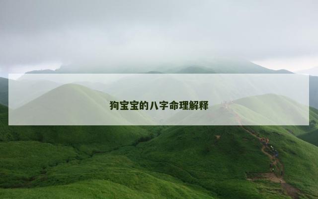 狗宝宝的八字命理解释
