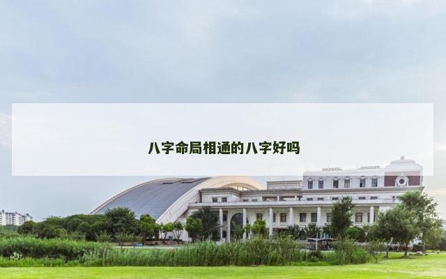 八字命局相通的八字好吗