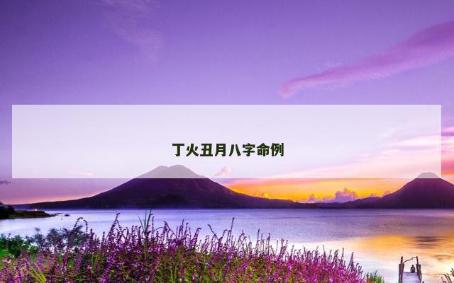 丁火丑月八字命例