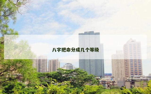八字把命分成几个等级