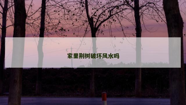 家里荆树破坏风水吗