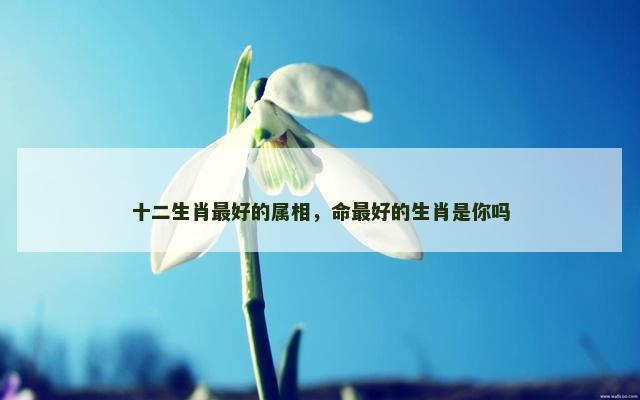 十二生肖最好的属相，命最好的生肖是你吗